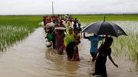 Myanmar Disebut Tak akan Mau Selidiki Genosida Rohingya