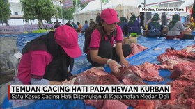 Pemeriksaan Daging Kurban Antisipasi Penyebaran Penyakit