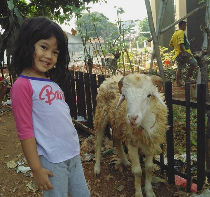  Foto Lucu Ekspresi Anak Saat Foto Sama Hewan Kurban 