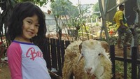 Foto: Lucu! Ekspresi Anak Saat Foto Sama Hewan Kurban
