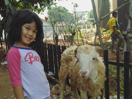 Foto: Lucu! Ekspresi Anak Saat Foto Sama Hewan Kurban