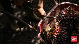 img-title GAPKI Klaim Produksi Sawit Melimpah, Cukup Buat B20
