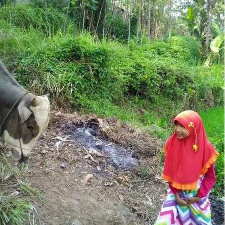 <p>Wah, berani juga anak yang satu ini. (Foto: Instagram/@nurhasanah_hardjanto)  </p>