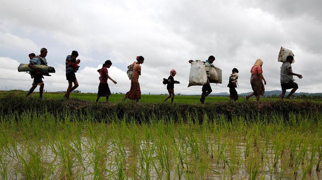 Pemerintah Indonesia diminta mengintervensi "ancaman genosida" yang terjadi terhadap etnis minoritas Muslim Rohingya di Rakhine, Myanmar.