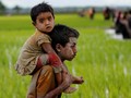 Menyimak Derita Muslim Rohingya dari Mata Relawan Pramuka