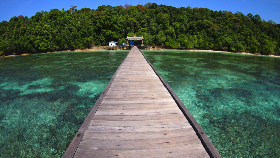 Pelayar Internasional Terpesona Keindahan Kepulauan Derawan