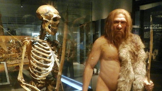 Penggalian selama beberapa dekade terakhir telah menemukan bongkahan ter dan jejak-jejak perekat di alat batu yang terdapat di situs Neanderthal di Jerman.