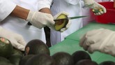 FOTO: Meksiko Pecahkan Rekor Dunia dengan 3 Ton Guacamole Sekitar 600 murid sekolah memasak dan 400 warga Buenos Aires membuat 3 ton guacamole untuk memecahkan rekor dunia.