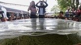 FOTO: Meksiko Pecahkan Rekor Dunia dengan 3 Ton Guacamole Sekitar 600 murid sekolah memasak dan 400 warga Buenos Aires membuat 3 ton guacamole untuk memecahkan rekor dunia.