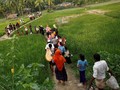 Suu Kyi Cari Tahu Penyebab Eksodus Rohingya ke Bangladesh