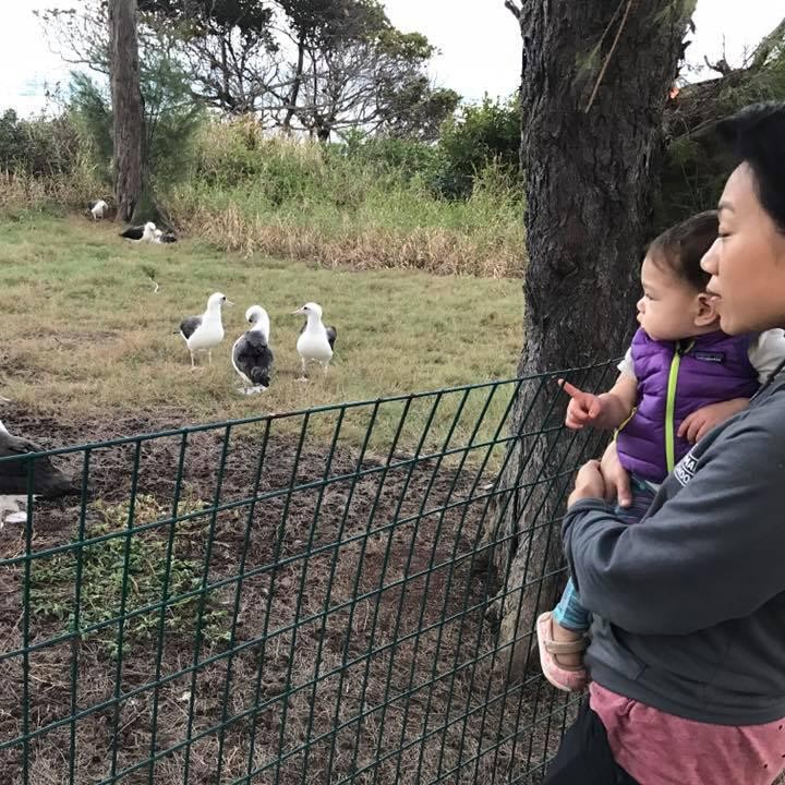 <p>Seriusnya Max waktu melihat burung-burung ini. Lucu ya Bun! (Foto: Facebook/ Mark Zuckerberg)  </p>