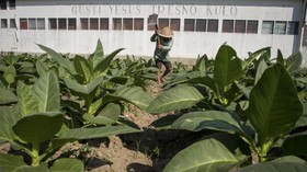 Industri Tembakau Sesuaikan Jam Operasional Saat PPKM Darurat