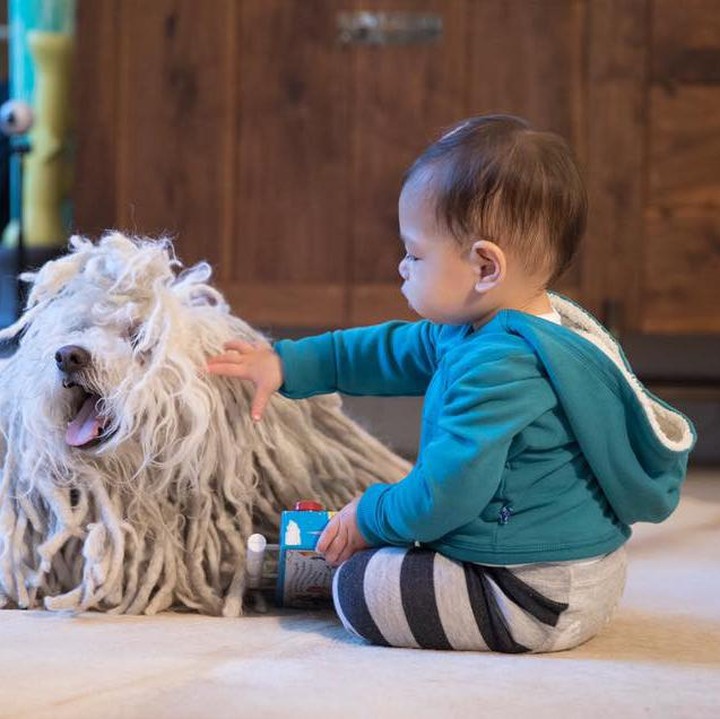 <p>Max lagi main sama anjing peliharaan keluarga yang dikasih nama Beast. (Foto: Facebook/ Mark Zuckerberg)</p>