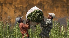 Upah Buruh Selamat dari Tekanan Inflasi September