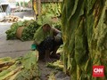 Jatim Dapat 'Jatah' Rp1,6 Triliun dari Cukai Rokok 2019
