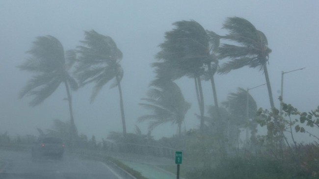 Semua warga Florida diminta mengungsi, karena tak ada tempat yang aman dari hantaman badai berkekuatan 195 kilometer per jam ini.