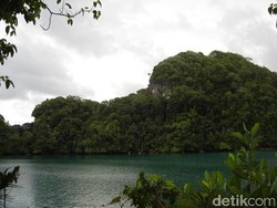 Misteri Hilangnya Mahasiswa IPB di Pulau Sempu saat Teliti Reptil