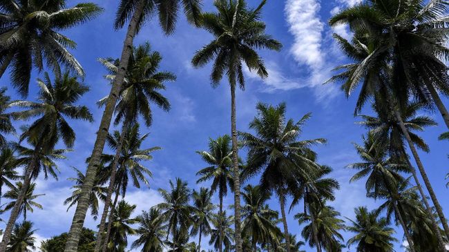 Pemerintah daerah Maluku telah menyiapkan 23 acara sepanjang 2018 yang akan dilaksanakan di tingkat kabupaten dan kota.