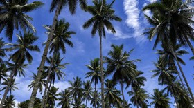 Maluku Coba Kembalikan Kejayaan dengan Pariwisata