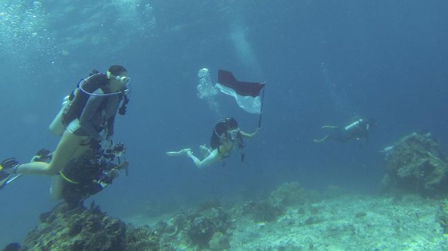 Penting untuk diketahui bahwa kawasan perairan Taka Bonerate memiliki banyak titik selam yang memesona.