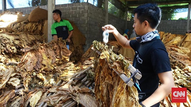 Kementerian Perindustrian mencatat ekspor rokok dan cerutu berhasil menembus angka Rp13,2 triliun di sepanjang tahun lalu.