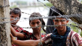 Menyingkap Akar Konflik Rohingya