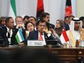 JK, Erdogan, Rouhani Minta Myanmar Selesaikan Krisis Rohingya