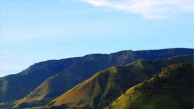 Karnaval Pesona Danau Toba Jadi Ajang Pelestarian Budaya