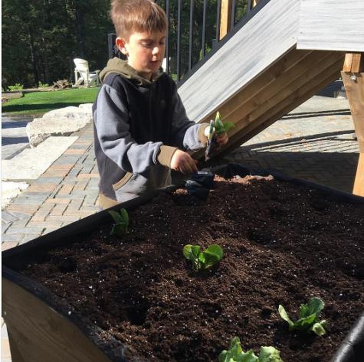 <p>Berkebun juga merupakan aktivitas yang menyenangkan dan sehat untuk anak. (Instagram: frankferragine)</p>