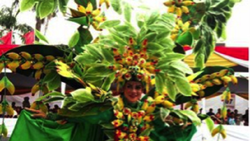 Malang Flower Carnival (MFC) 2017 berlangsung sukses dengan pengunjung meningkat 90% dari tahun sebelumnya.