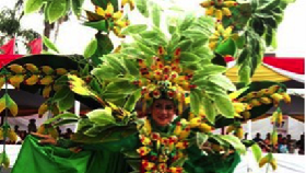 Malang Flower Carnival 2017 Sukses Hadirkan 214 Kostum Unik