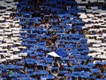 Liverpool Tumbang, Persib Lawan Klub India di Turnamen Online