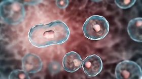'Uji Klinis Cell Cure Mesti Terikat Etika Penelitian'