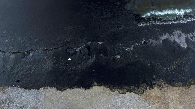 Minyak tumpah milik Pertamina di Teluk Balikpapan telah menyisakan petaka bagi ekosistem dan biota laut di perairan. Masyarakat dirugikan atas kejadian itu.