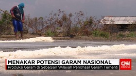Menakar Potensi Garam Nasional