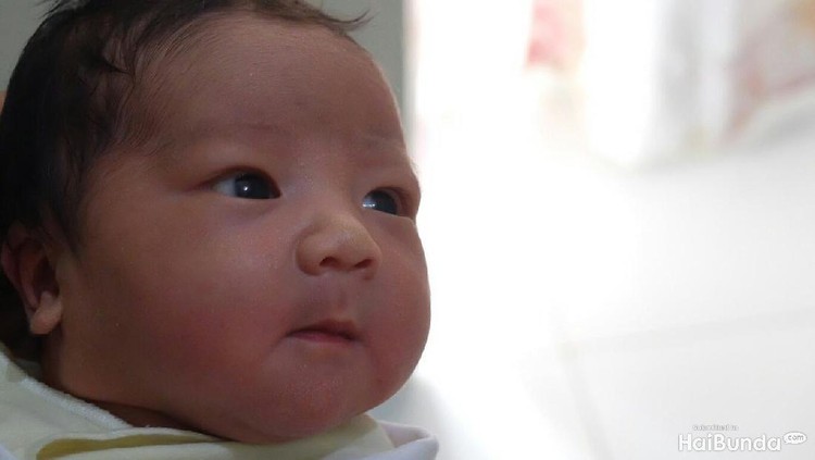 Bunda yang sedang mempersiapkan kelahiran si kecil, pasti sibuk mencari-cari nama untuk si buah hati ya?