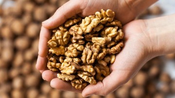 JENIS KACANG LAINNYA