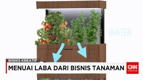 Menuai Laba dari Bisnis Tanaman