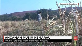 VIDEO: Kemarau dan Ancaman Gagal Panen untuk Petani