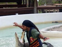 Produsen Nugget Fiesta Buka Lowongan Kerja Jadi Pawang Buaya, Ini Syaratnya