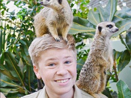 Hasil Jepretan Robert Irwin, sang Bocah Pencinta Alam