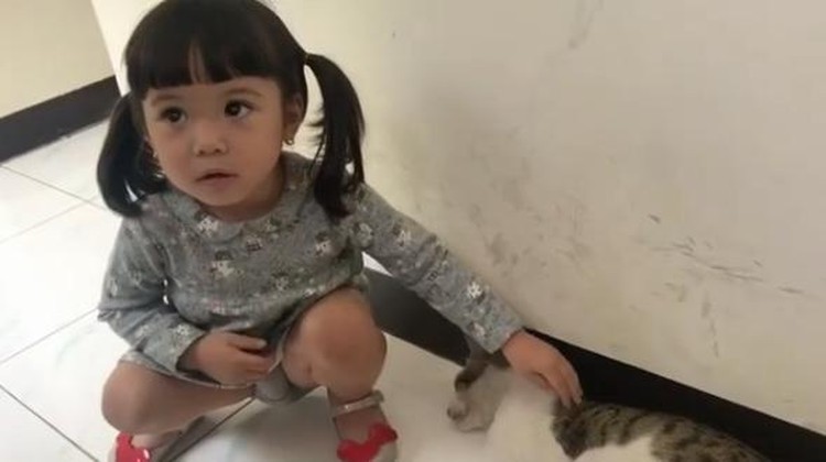Duh, kucing. Gempi kan cuma mau main, kok malah digigit, sih?