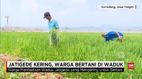 VIDEO: Jatigede Kering, Warga Bertani di Waduk