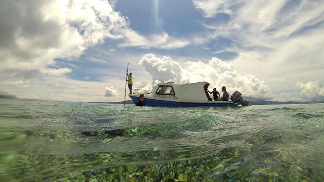 Kepala Dinas Pariwisata Kabupaten Raja Ampat mengatakan kunjungan wisatawan di kabupaten Raja Ampat turun sekitar 30 persen.