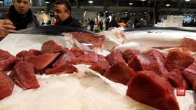 VIDEO: Menyusuri Pasar Ikan Terbesar di Barcelona