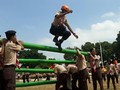 Alasan Seragam Pramuka Berwarna Cokelat