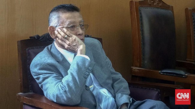 Romli Atmasasmita menilai, dalam dakwaan Imran dan Sugiharto yang tertulis nama Setya Novanto yang diduga merugikan keuangan negara kurang jelas.