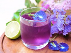 Manfaat Minum Teh Bunga Telang Setiap Hari, Bisa Bantu Redakan Bapil