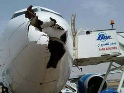 Ini Bahayanya Bird Strike, Seperti yang Dialami Air Force Two Mike Pence