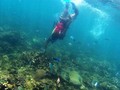 Pulau Liwungan dan Pulau Untung Jawa 'Diserbu' Turis